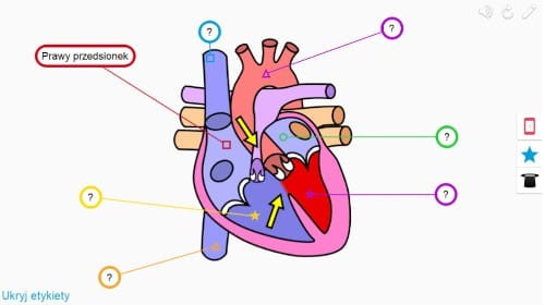 55e2b344fa0320691139bb64662cd472