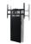 Avtek-Electric-Stand-DS600BW-1.jpg