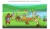 spectrum_roznicowanie-3.webp