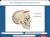 Didakta-Biologia-1-Nauka-o-czlowieku-3.webp