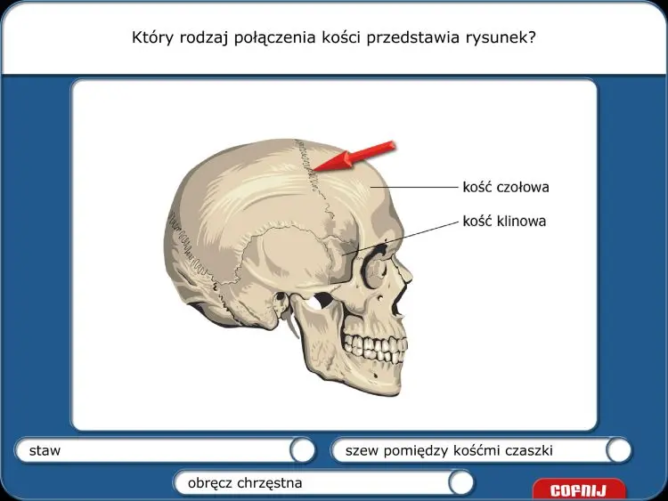 Didakta-Biologia-1-Nauka-o-czlowieku-3.webp