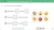 mTalent_Autyzm_Mowa1-3.webp