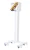 FunFloor-MOBILNY-PREMIUM-3W1-4.webp