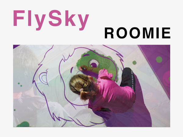 FlySky i Roomie